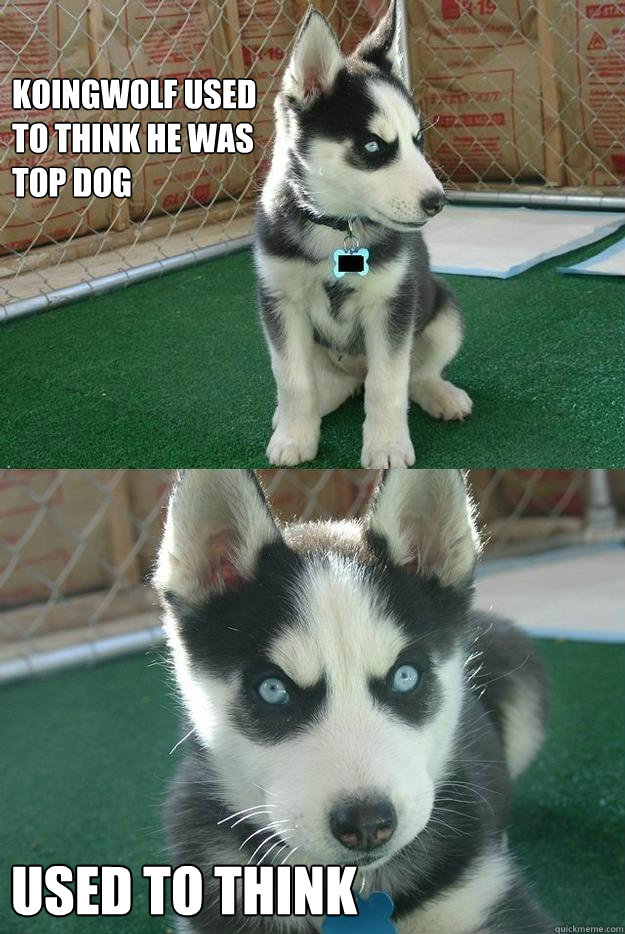 KoingWolf used to think he was top dog USED TO THINK  Insanity puppy