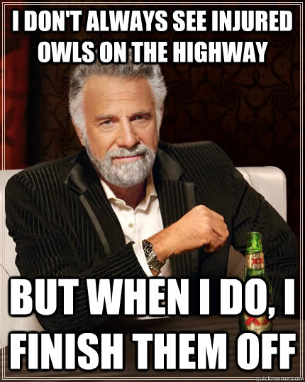 I don't always see injured owls on the highway but when I do, I finish them off  The Most Interesting Man In The World