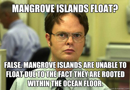 Mangrove Islands Float? False. Mangrove Islands are unable to float due to the fact they are rooted within the ocean floor. - Mangrove Islands Float? False. Mangrove Islands are unable to float due to the fact they are rooted within the ocean floor.  Dwight