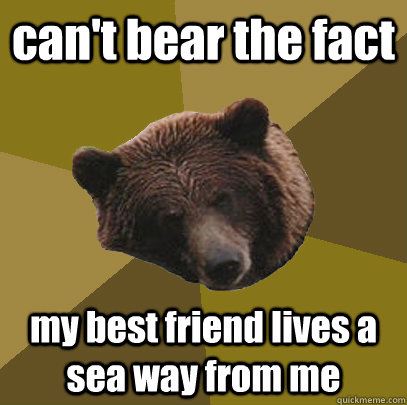 can't bear the fact my best friend lives a sea way from me  Lazy Bachelor Bear