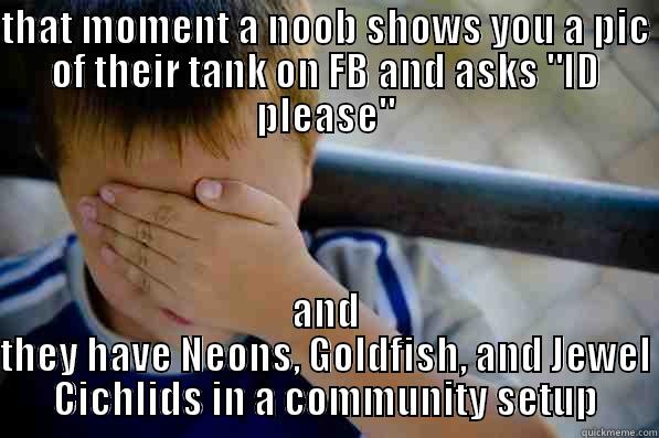 THAT MOMENT A NOOB SHOWS YOU A PIC OF THEIR TANK ON FB AND ASKS 