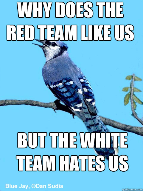 why does the red team like us but the white team hates us  Blue Team Bird