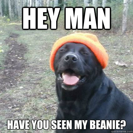 Hey man Have you seen my beanie?  