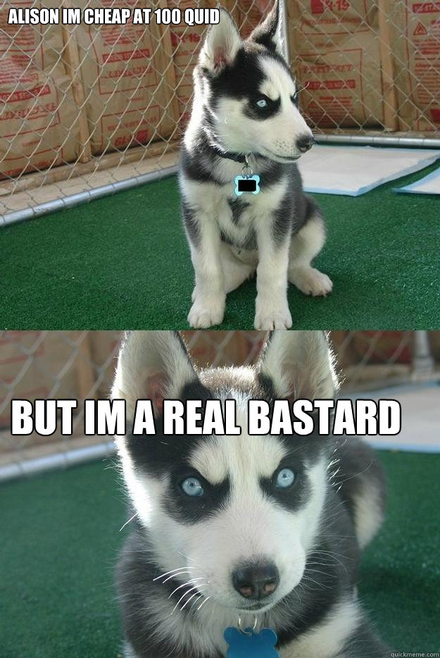 Alison im cheap at 100 quid but im a real bastard  Insanity puppy