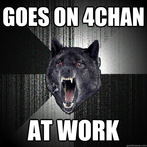 Goes on 4chan at work  Insanity Wolf