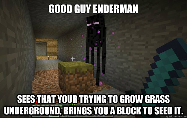 Good Guy enderman sees that your trying to grow grass underground, brings you a block to seed it. - Good Guy enderman sees that your trying to grow grass underground, brings you a block to seed it.  good guy enderman