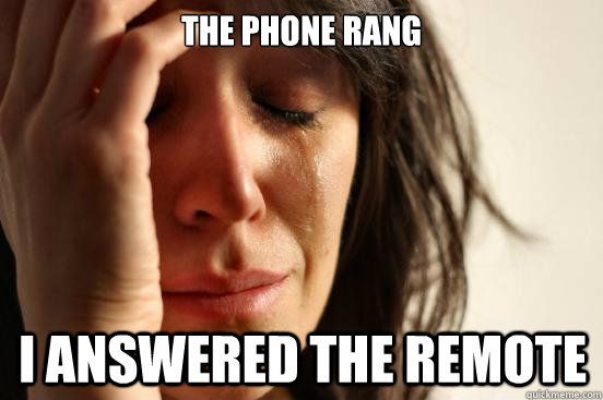 The Phone Rang I answered the remote  First World Problems