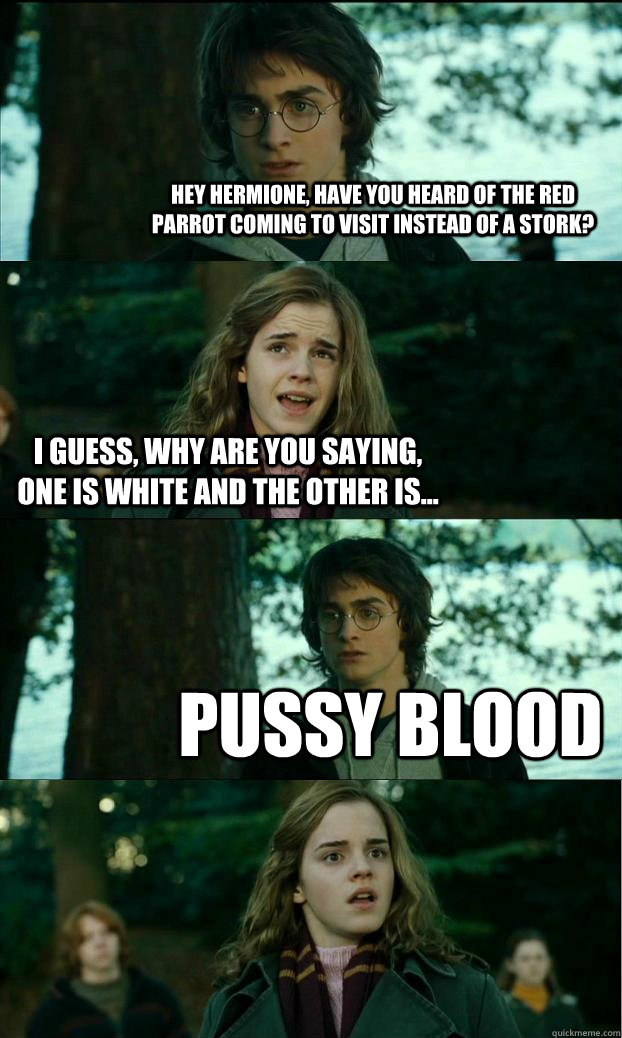 Hey hermione, have you heard of the red parrot coming to visit instead of a Stork? I guess, why are you saying,  one is white and the other is... PUSSY BLOOD  Horny Harry