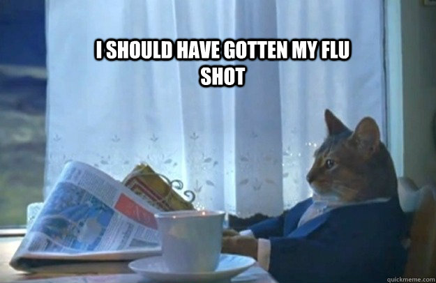 I should have gotten my flu shot  Sophisticated Cat