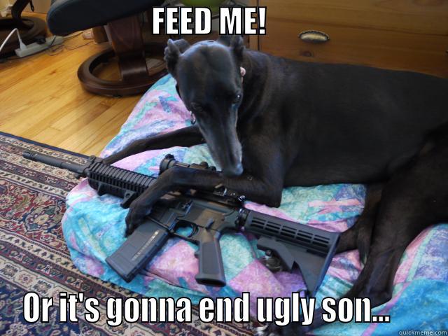 Dog trufs! -                          FEED ME!                               OR IT'S GONNA END UGLY SON...      Misc