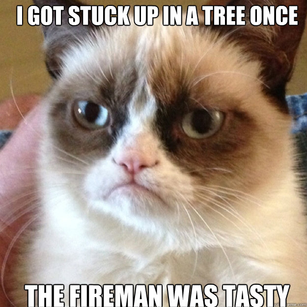 i got stuck up in a tree once the fireman was tasty - i got stuck up in a tree once the fireman was tasty  Misc