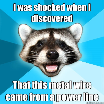I was shocked when I discovered That this metal wire came from a power line  Lame Pun Coon