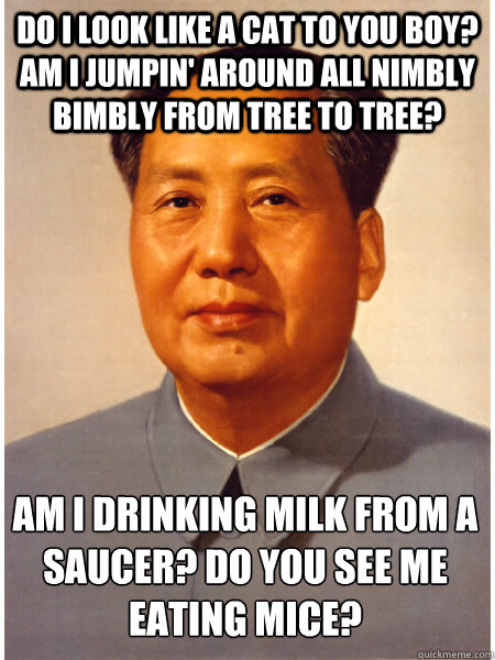 Do I look like a cat to you boy? Am I jumpin' around all nimbly bimbly from tree to tree? Am I drinking milk from a saucer? DO YOU SEE ME EATING MICE?  - Do I look like a cat to you boy? Am I jumpin' around all nimbly bimbly from tree to tree? Am I drinking milk from a saucer? DO YOU SEE ME EATING MICE?   Chairman Mao