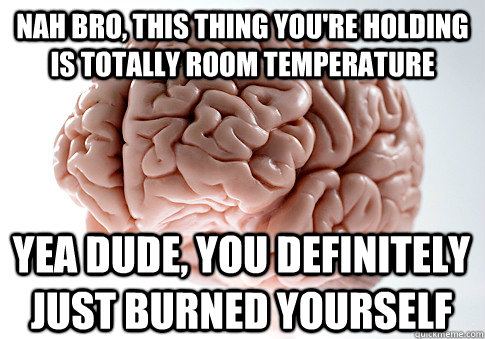 Nah bro, this thing you're holding is totally room temperature yea dude, you definitely just burned yourself  Scumbag Brain