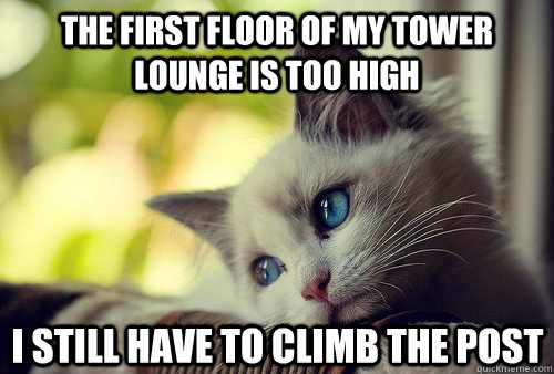 the first floor of my tower lounge is too high i still have to climb the post  First World Cat Problems