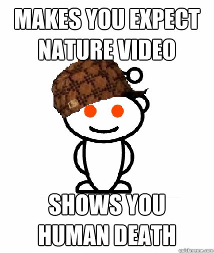 makes you expect nature video  shows you
human death  Scumbag Reddit