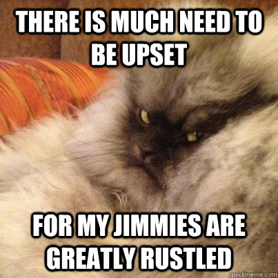 There is much need to be upset For My jimmies are greatly rustled - There is much need to be upset For My jimmies are greatly rustled  Angriest Cat