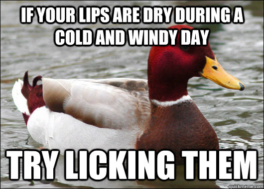 If your lips are dry during a cold and windy day try licking them - If your lips are dry during a cold and windy day try licking them  Malicious Advice Mallard