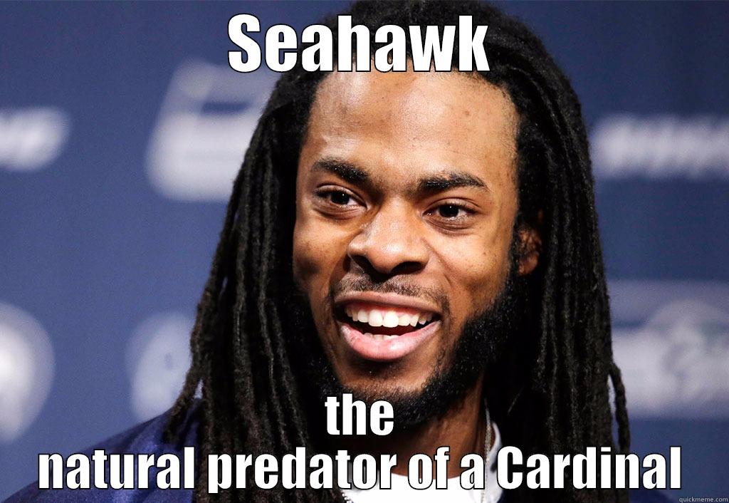 SEAHAWK THE NATURAL PREDATOR OF A CARDINAL Misc