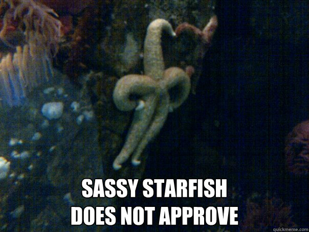  sassy starfish
does not approve -  sassy starfish
does not approve  Sassy Starfish