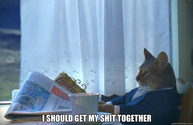 I should get my shit together  Sophisticated Cat