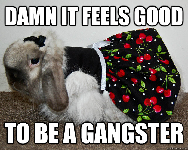 Damn it feels good to be a gangster - Damn it feels good to be a gangster  Misc