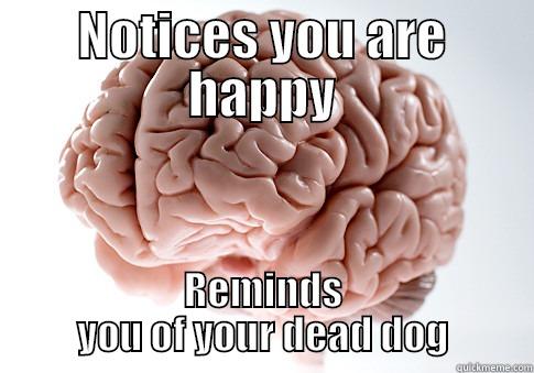NOTICES YOU ARE HAPPY REMINDS YOU OF YOUR DEAD DOG Scumbag Brain