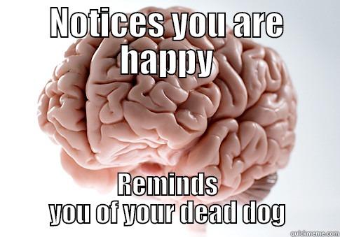 Scumbag brain - NOTICES YOU ARE HAPPY REMINDS YOU OF YOUR DEAD DOG Scumbag Brain