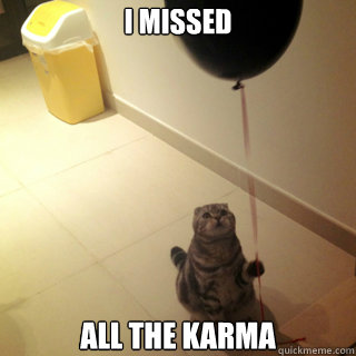 I missed  all the karma - I missed  all the karma  Sad Birthday Cat