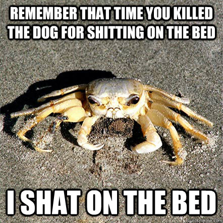 remember that time you killed the dog for shitting on the bed i shat on the bed  Confession Crab