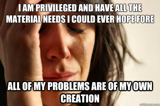 i am privileged and have all the material needs i could ever hope fore all of my problems are of my own creation  First World Problems