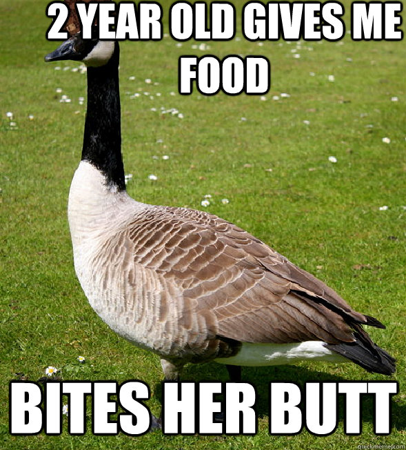 2 year old gives me food Bites her butt  Scumbag Goose