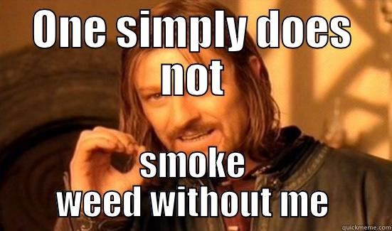 ONE SIMPLY DOES NOT SMOKE WEED WITHOUT ME Boromir