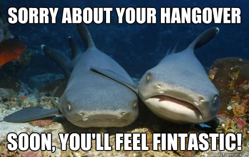 Sorry about your hangover Soon, you'll feel fintastic!  Compassionate Shark Friend