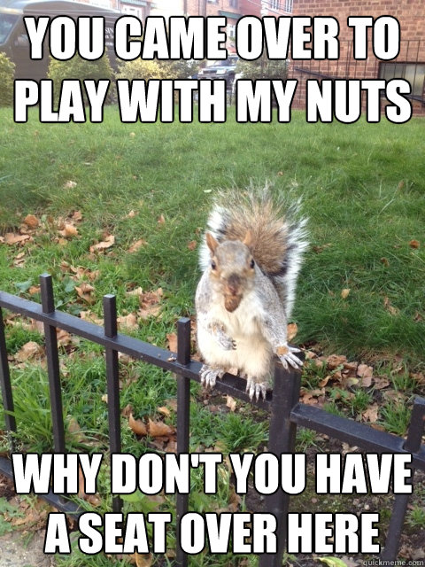 You came over to play with my nuts Why don't you have a seat over here  Squirrel with his nuts