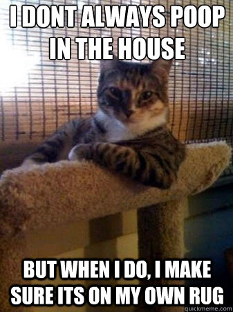I dont always poop in the house but when i do, i make sure its on my own rug  The Most Interesting Cat in the World