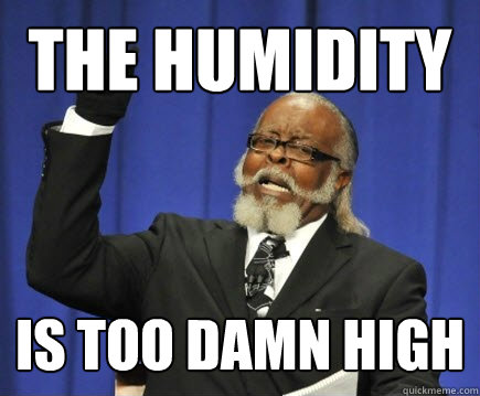 the humidity is too damn high  Too Damn High