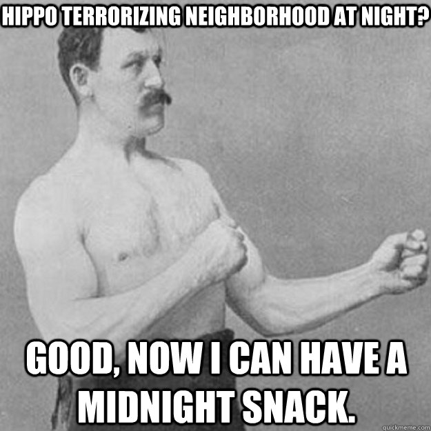 Hippo terrorizing neighborhood at night? Good, now I can have a midnight snack.  overly manly man