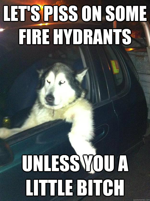 LET'S PISS ON SOME FIRE HYDRANTS UNLESS YOU A LITTLE BITCH  Mean Dog