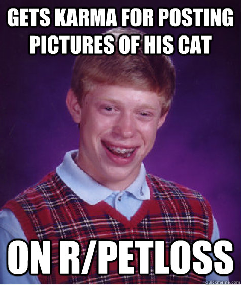 Gets karma for posting pictures of his cat on r/petloss  Bad Luck Brian