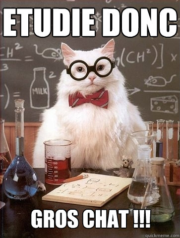 Etudie donc  gros chat !!!  Chemistry Cat