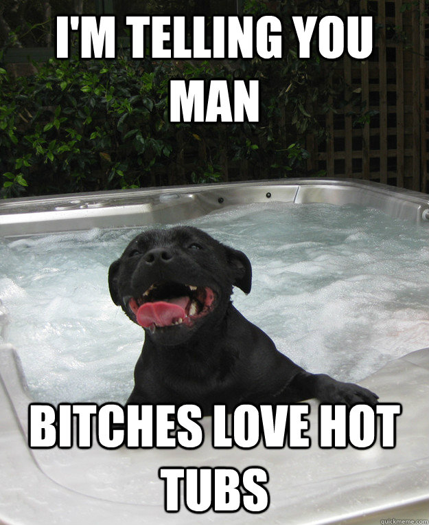 I'm telling you man Bitches love hot tubs  Jacuzzi dog
