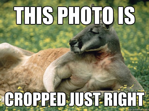 disgusting doggie stop it - Quickmeme Critic Kangaroo - quickmeme disgusting doggie stop it - Quickmeme Critic Kangaroo - quickmeme