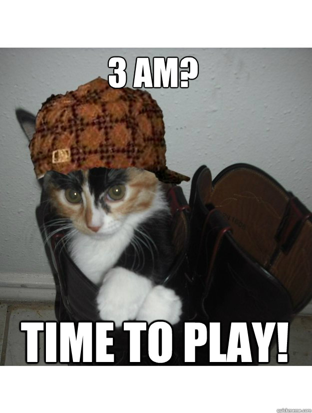 3 am? time to play! - 3 am? time to play!  Scumbag Kitten