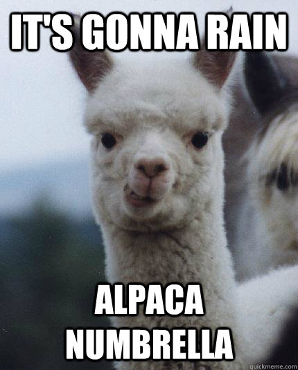 IT'S GONNA RAIN ALPACA NUMBRELLA  ALPACA