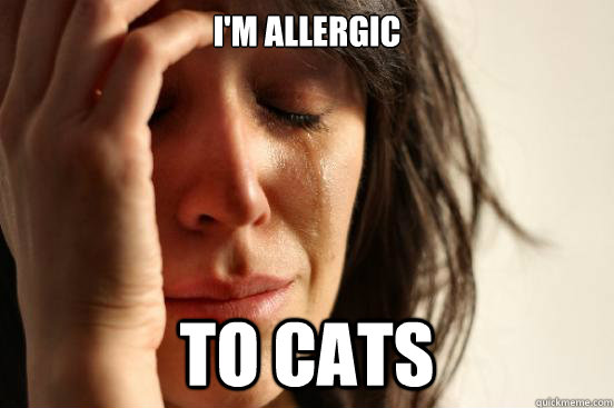 I'm Allergic  To Cats  First World Problems