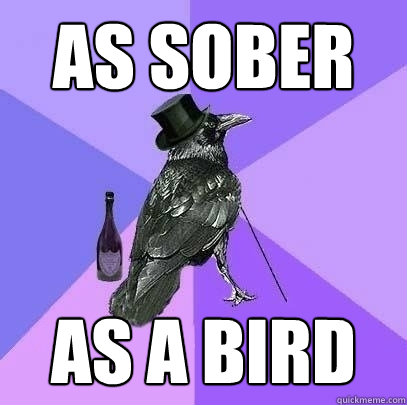 As Sober As a Bird  Rich Raven
