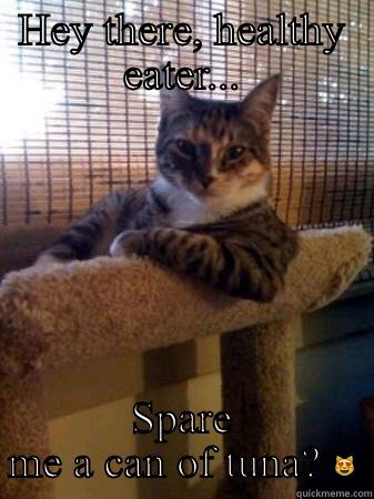 Squat till you drop - HEY THERE, HEALTHY EATER... SPARE ME A CAN OF TUNA?  The Most Interesting Cat in the World