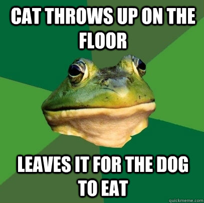 Cat throws up on the floor Leaves it for the dog to eat  Foul Bachelor Frog