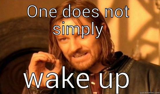 ONE DOES NOT SIMPLY WAKE UP Boromir